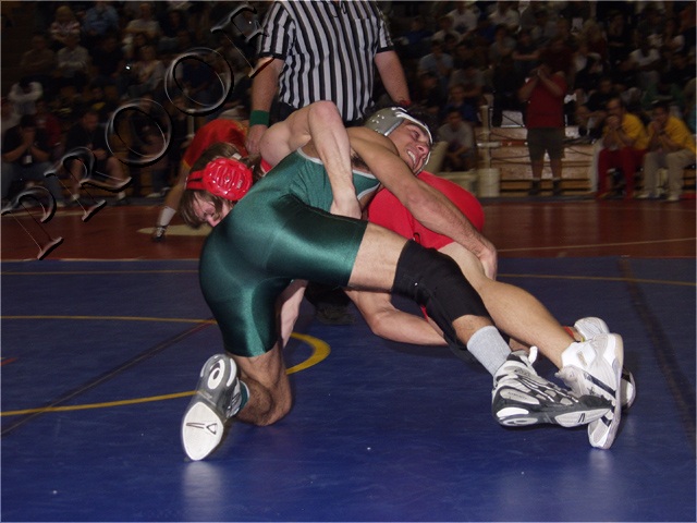 P2269788.jpg