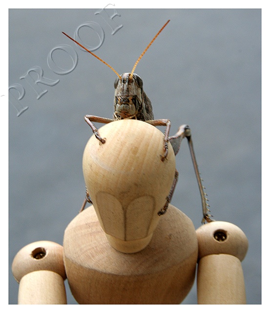 Am I bugging you?