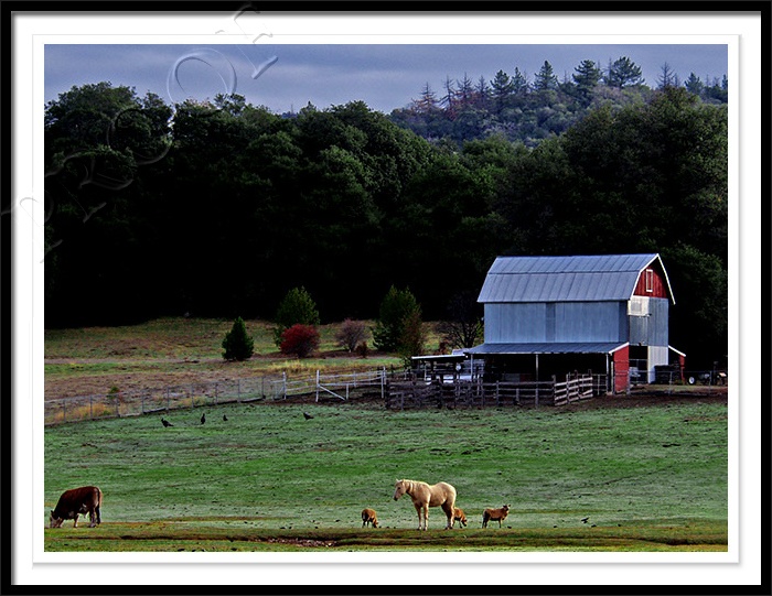 Julian Farm