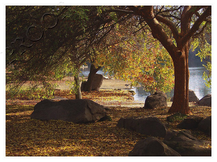 Autumn Sanctuary