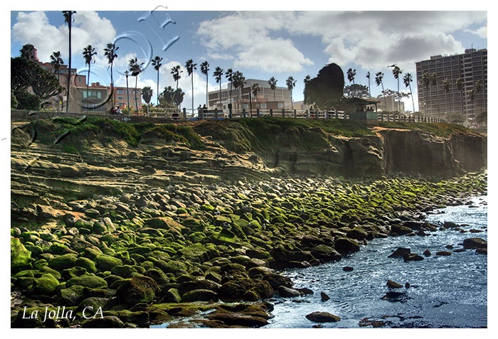 Low Tide