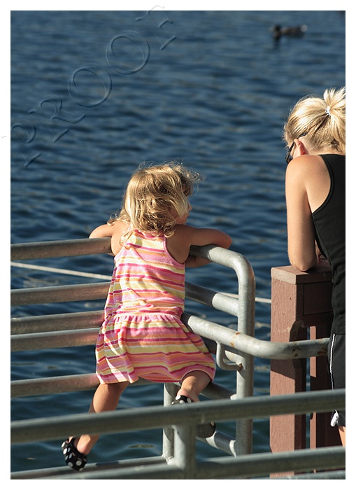 Mom, why is a duck?