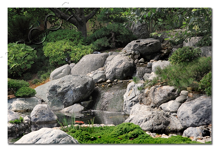 Japanese Gardens