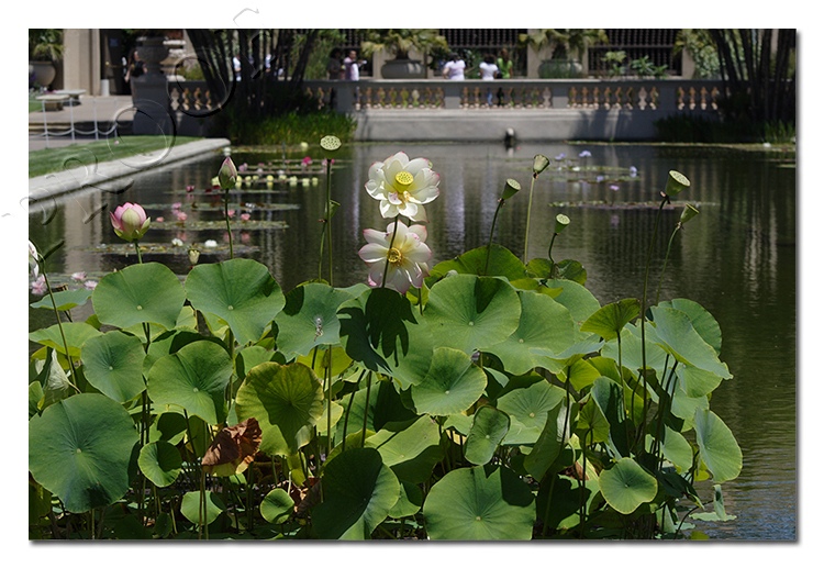 Balboa Park