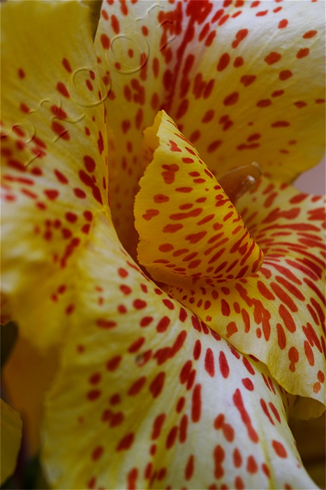 IMG_0566Resize.jpg