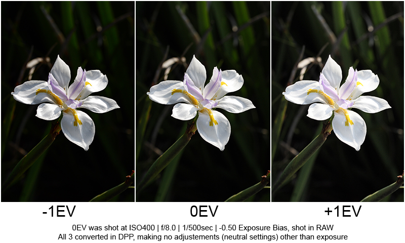 EV_Examples.jpg