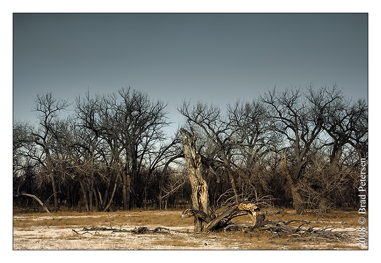 Desolation