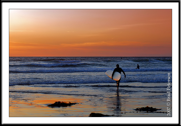 Sunset Surfer