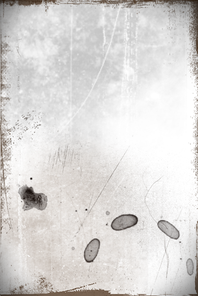 01.png