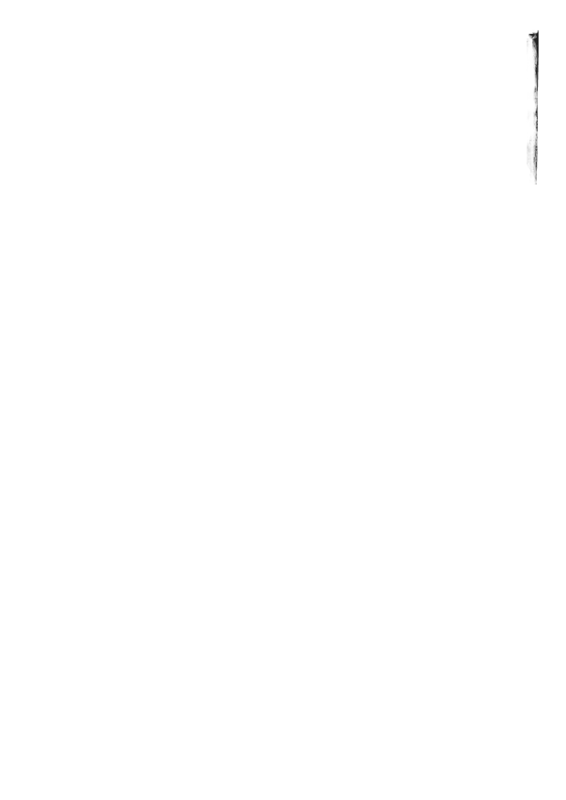 Border7.png