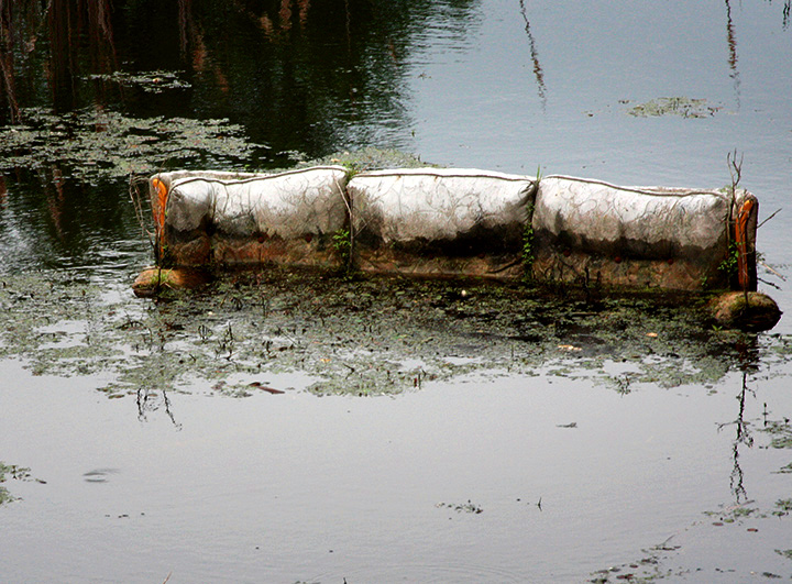 High Tide & Low Hope_edit.jpg