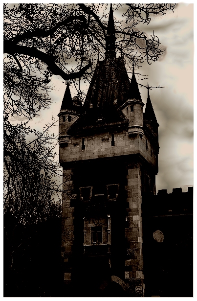 37011732.castleprefog.jpg