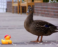 100_5797-copy.jpg