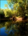 Down By the River