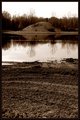 Murder Island