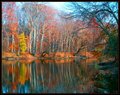 Fallscape