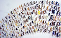 Butterflies Galore