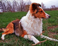 100_5290-copy.jpg