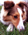 100_5291-copy.jpg