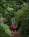 The Hike