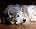 DSC_2781-8x10.jpg