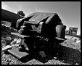 DSC_6607-bw.jpg
