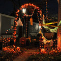 DSC_6923-copy.jpg