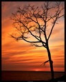 warren dunes sunset 8x10 