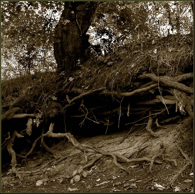 The Roots of all Evil
