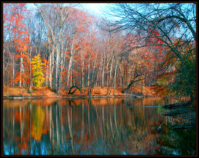 Fallscape