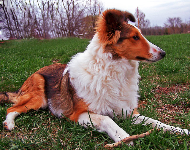 100_5290-copy.jpg