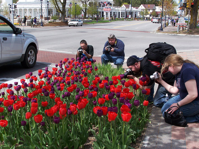 And you wonder why we see so many flower shots :-P