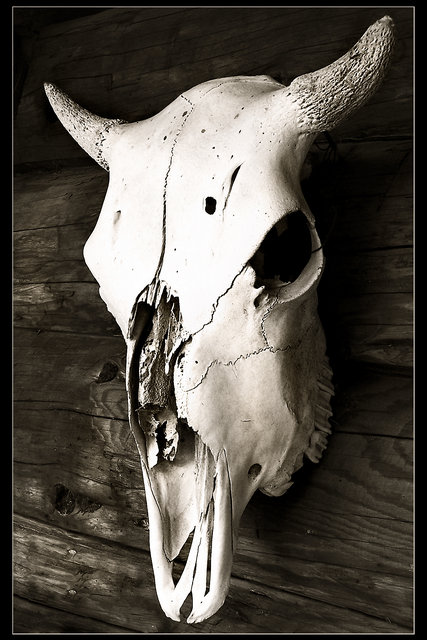 Death Ostentatious 