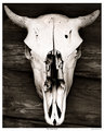 Naked Truth 8 x 10