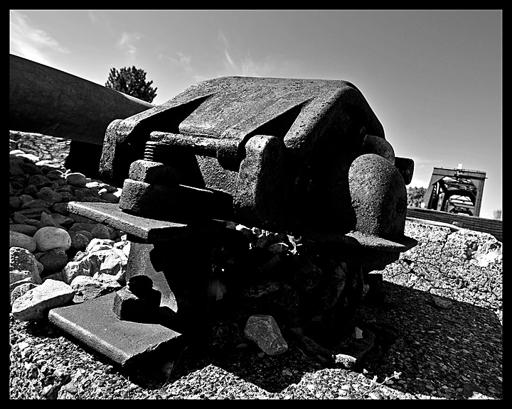 DSC_6607-bw.jpg