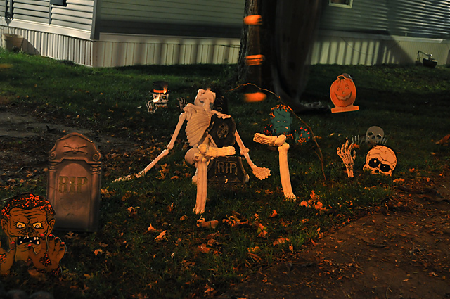 DSC_6933.jpg