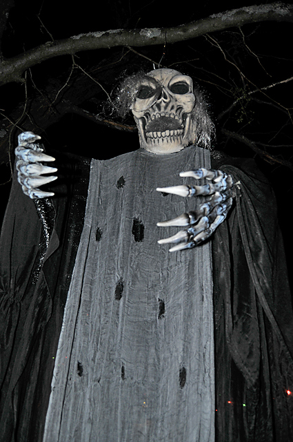 DSC_6951.jpg