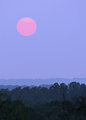 Hazy Day