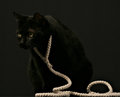 Rope_outtake