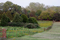 Fields