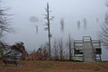 A Quiet Foggy Morning In Louisiana