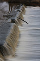 Waterfall at the Lake