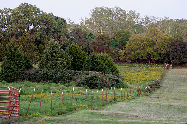 Fields