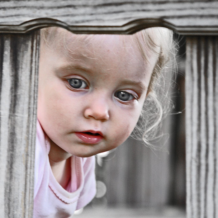 Through the Fence