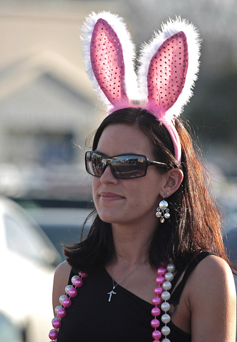 Mardi Gras Bunny