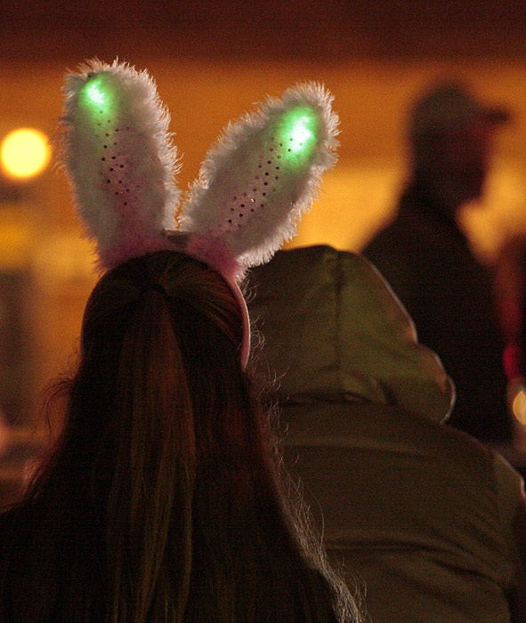 Night Bunny
