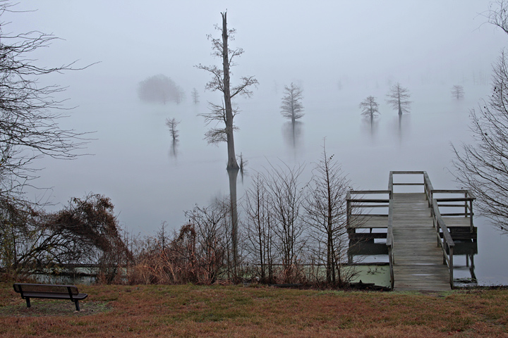 A Quiet Foggy Morning In Louisiana