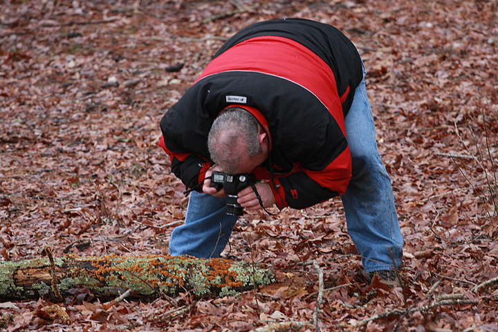 Lichen Lurker