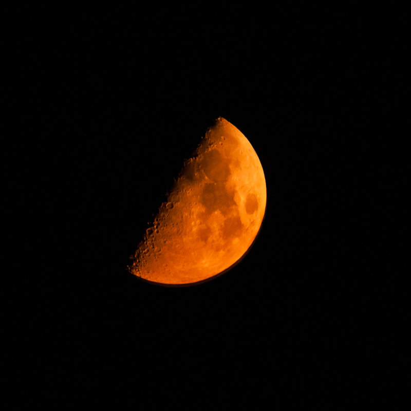Moon-6337