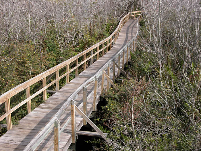 Sawgrass boardwalk